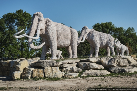 2020-День 6